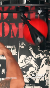 Speed Bag Boxing Hook Speedball Tinju Speedbag Punching Bag Swivel SBBH