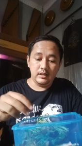 EMPET TEROMPET SATUAN