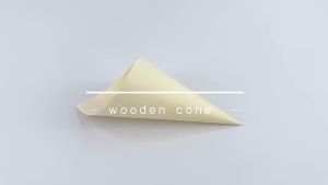 100pcs Eco Friendly Disposable Wooden Cone Oil Absorbent Wooden Cone For Ice-cream Chips Fruit