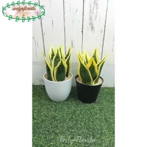 TANAMAN ARTIFICIAL DAUN LIDAH MERTUA X8 MINI VARIASI POT HIASAN MEJA KANTOR