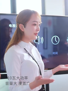 Portable Voice Speaker Mini Bluetooth Microphone Speaker Rechargeable Voice Amplifier Mic For Teacher