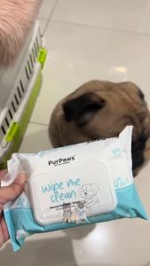PurPaws Natural Hypoallergenic Pet Wipes Pet Grooming Dog Wipes Cat Wipes Alcohol Free Plant-Based Pet Wipes