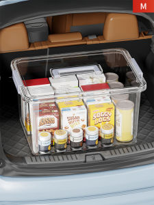 QINQI | Capacious Storage and Organization Car Backpack Box