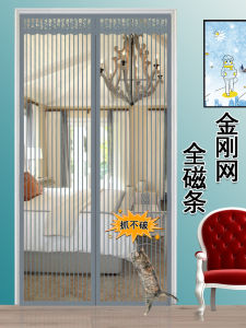 Mosquito-Proof Door Curtain New 2025 Encryption Magic Tape Screen Door Mesh Curtain Diamond Net Partition Curtain Home Use