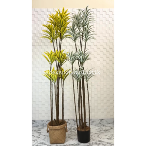 Pohon Artificial Tanaman Hias Song Of India T170 Variasi Warna Kuning & Putih Latex Cover Purun Handle Hiasan Dekorasi Rumah Kantor Aesthetic