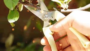 Garden Pruning Shears Scissors Gardening Machine Chopper Pruning Bend Shears Brush Cutter