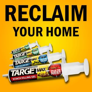Racun Lipas Cockroach Killer Bait Ubat Lipas Rumah Ubat Lipas Paling Berkesan Racun Lipas Paling Berkesan 蟑螂药