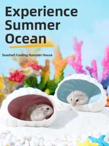 CHONGXIAOSHUAI | Cooling Ceramic House