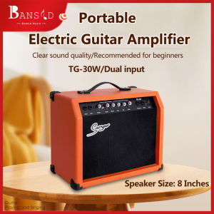 Electric Guitar Amplifier 15/30 Watt Electric Guitar Amp with Distortion Effects and Speakers Acoustic Amplifier