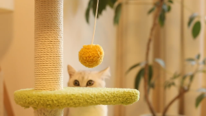 Cat Climbing Frame Cat Nest Integrated Small Apartment Sisal Cat Scratch Board Cat Villa No Dandruff Cat Toy