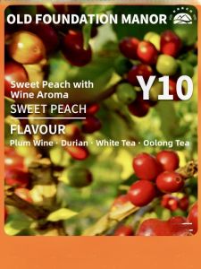 Premium Small Bean Coffee Beans Sweet Fruit Wine Aromatic Sun-Dried Yunnan Specialty Coffee Beans Raw Beans for Espresso