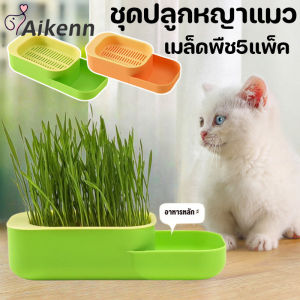 Aikenn พร้อมจัดส่ง ชุดปลูกหญ้าแมว หญ้าแมวออแกนิก เมล็ดข้าวสาลี ถาดเพาะต้นอ่อน 1 ชุด  เมล็ดพืช5แพ็ค