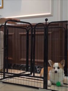 Large Fence Playpen for Dog Kennel Pet Playpen Indoor DIy Portable Dog Kennel Heavy Duty Metal 寵物圍欄
