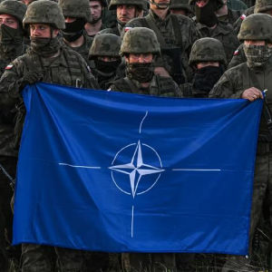 FLAGLINK 90x150 CM North Atlantic Treaty Organization NATO Flag For Decoration