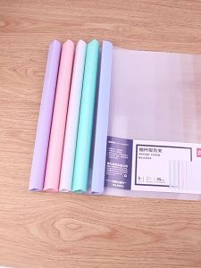 deli | Thick Transparent Large Capacity File Folder