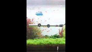 HEATER STAINLESS RECENT 500 Watt Pemanas Penghangat Air Suhu Aquarium