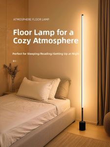Onefire | Atmospheric Reading Sleep Floor Lamp