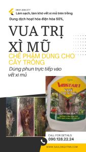 VuA TRỊ XÌ MŨ CHẾ PHẨM DÙNG CHO CÂY TRỒNG