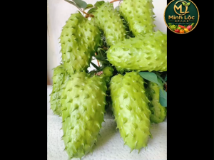 Trái Mãng Cầu Gai Dài trang trí Cao Cấp | Trái Cây Nhựa foam Trái Cây trang trí Trái Cây Mô Hình