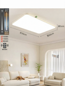 DGY | French Minimalist Thin Translucent Eye-care Ceiling Light