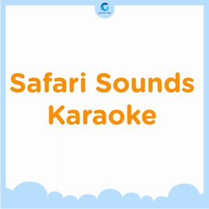 Mainan Edukasi Anak Karaoke Vtech Safari Sounds Karaoke Original