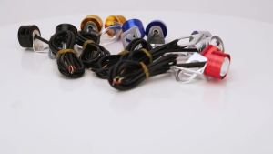 2pcs 5 Color Flash Motorcycle Mini Eagle Eye Strobe Light Daytime Running Backup Signal Fog Lights Colorful Indicator Blinker