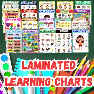 LAMINATED LEARNING CHARTS FOR KIDS 125 mic