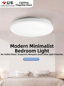 Bull | Indoor Lighting Small Ceiling Light