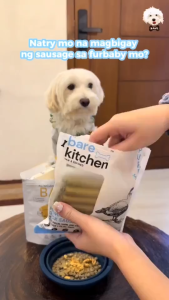 Bare Kitchen Buy 1 Take 1 Dog Treats Premium Dog Sausage Pet Sausage Cat Treats Pet Treats Dog Food