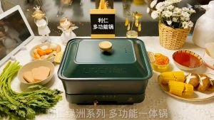 LIVEN 4.3L Multifunction Cooking Pot (Fry roast bake stew boil simmer) G-7