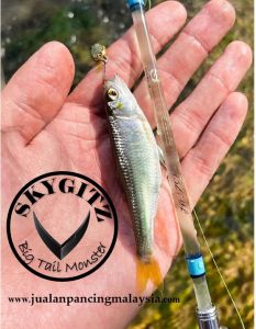 SKYGITZ MALAYSIA RANDUK V2 Xiaoju Jeram Undercast Stream Ultralight 1-8lb 1-5g Spinning Casting Fishing Rod