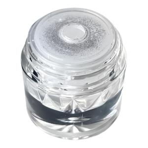 GAOY | Mirror Finish Moonlight Powder Silver Nails Accessory
