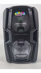 FT-Star 12" LED Party Speaker with BluetoothMicro SDFM and Wireless Micand Remote FPA-8808