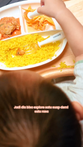 COCONI Melamine MunchPlate | Piring Makan Anak Bayi Sekat Tiga BPA FREE FOOD GRADE