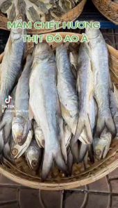 Mắm Cá Chét Thơm Ngon Thịt Thơm Dùng Chưng Thịt Đặc Sản Miền Tây. Đặc Sản Minh Triết( 500g)