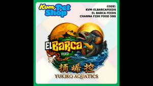 El Barca Channa Fish Food 50g Made in Indonesia