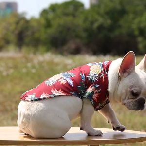 Áo cho Chó Mèo thời trang Hawai (mẫu mới) - Hara Pet Store