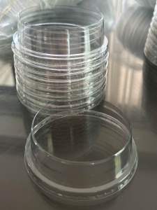 ฝาฮาฟโดมซีโร่ ฝาฮาฟวิปครีม ปาก95 บรรจุ 50ใข