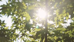 Aqua / LetSlim ผ้านิ่มน่าสัมผัส คุณสมบัติของปลอกแขนกันแสงแดด สำหรับคุณที่มีช่องทำ Aqua / LetSlim ให้พร้อมส่งจากไทย