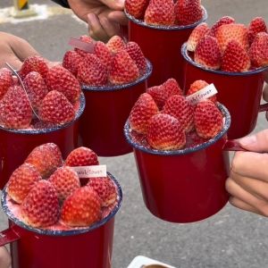 Festive Christmas Strawberry Cake Decoration Enamel Tea Cup Fruit Dessert Costume New Years Celebration Supplies