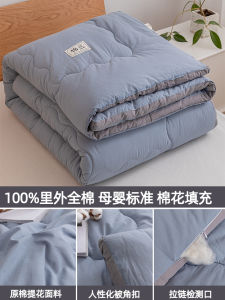Class a Pure Cotton Quilt Summer Lightweight Air Conditioner Core Four Seasons Universal Spring Autumn Student Cotton Duvet