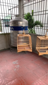 Lồng chim chào mào tre bo góc tự ráp giá rẻ lồng chào mào tre già tự lắp đã lắp sẵn 2 mặt giá rẻ