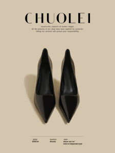 CHUOLEI | Black Mary Jane Heel Shoes