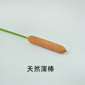 ช่อดอกไม้แห้งลูกสนชิ้นเดียวของตกแต่งบ้าน DIY ของตั้งโชว์บนโต๊ะยูคาลิปตัสดอกไม้ประดิษฐ์ธรรมชาติอุปกรณ์ประกอบฉากถ่ายภาพ