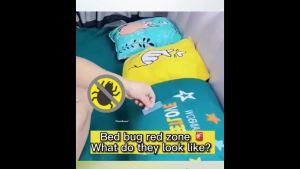 [SG Stock] Dust Mite Remover Spray Anti Dust Mite Spray Bed Bugs Killer Spray Mattress Cleaner 99.9% Anti-Bacterial Mattress Cleaner Spray