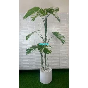 Pohon Imitasi Tanaman Artificial Monstera Variegata T170 Latex Pot Semen Dekorasi Hiasan Ruangan Studio