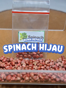 Benih Baby Spinach Unggulan Berkualitas Biji Bibit repack hydroponik hidroponik tanaman hijau sayur sayuran bayi pot