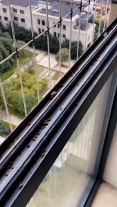 Cleaning Brush With Dust Pan 2 in 1 Multipurpose Mini Household Window Gap