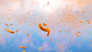 Cheetos Puffs Cheese (255.1g - USA / 220g China)