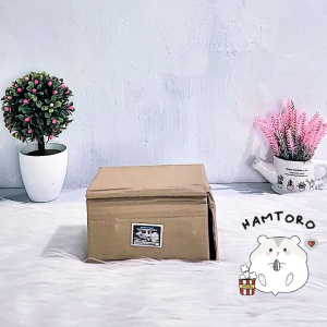 [FREE PASIR] Hamtoro Triceratops Skull Rumah Mainan Hamster Gecko Akuarium Ikan